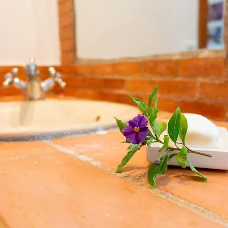 Сasa de vacaciones Window To The Valley *